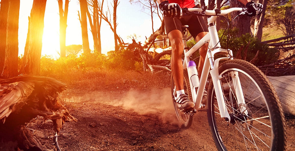 Premium Sports Equipment