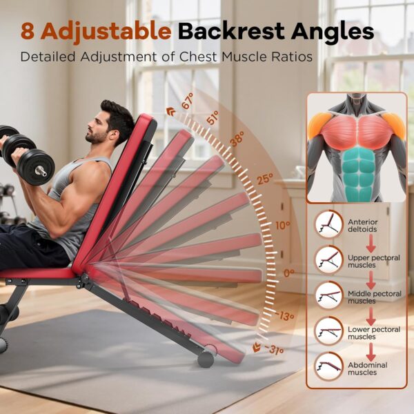 NICEPEOPLE Basic Weight Bench for Home Gym, 8 Backrests Adjustable Bench with 660LBS Weight Capacity for Chest Shoulders Arms Muscles, Foldable and Compact for Small Space...